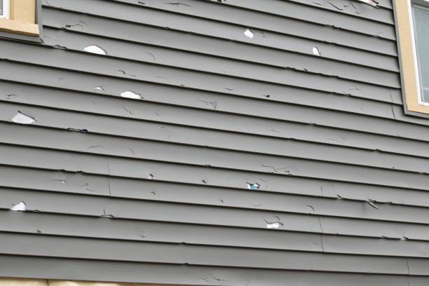 Siding Removal and Disposal in Hobe Sound, FL